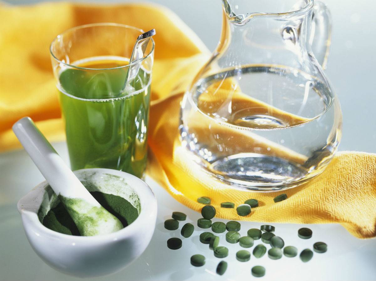 Alga chlorella