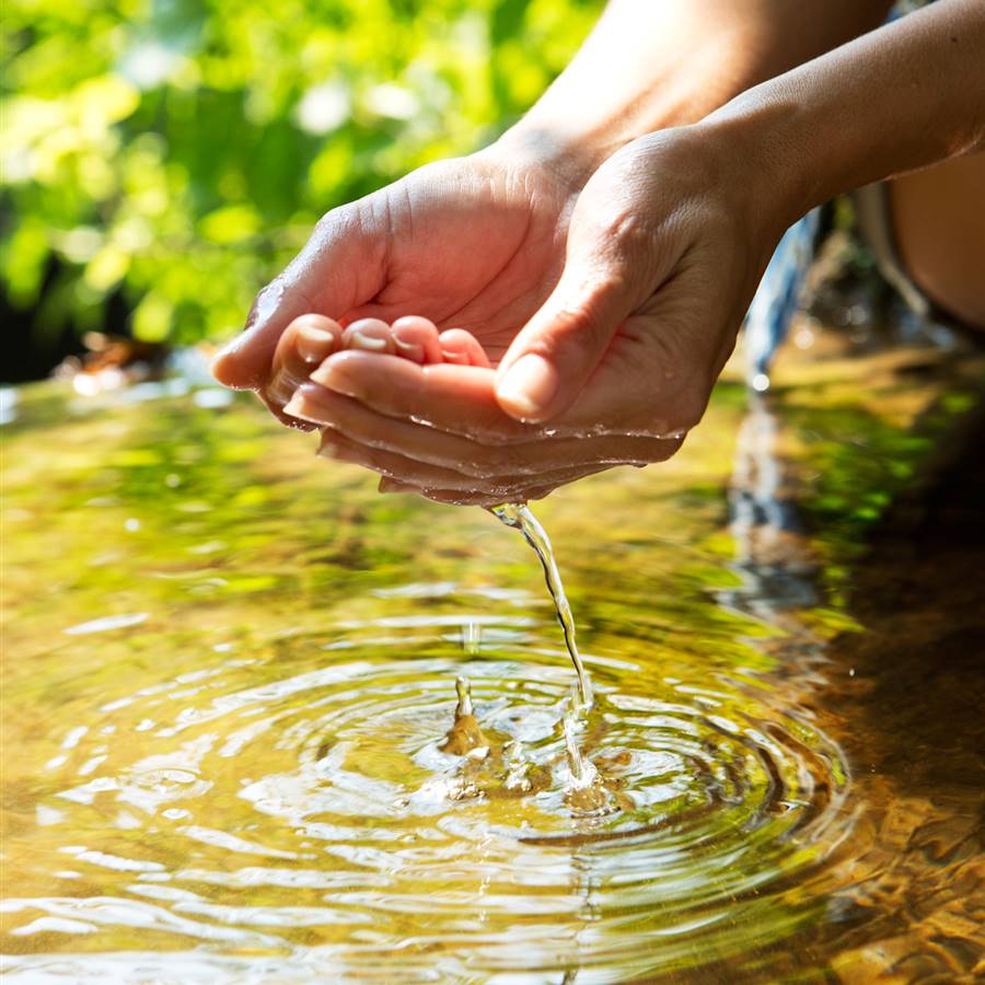 ¿Te puedes beber el agua de un manantial en la montaña?