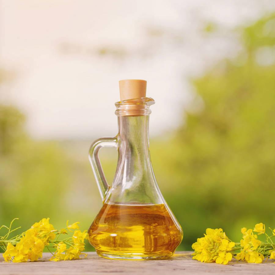 Aceite de canola: qué es, qué propiedades tiene y por qué apenas se conoce en España