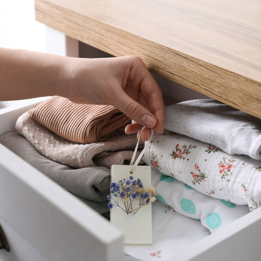 remedios para las polillas de la ropa