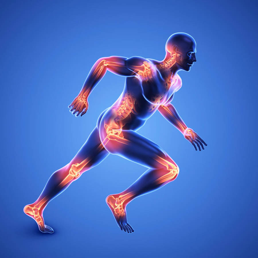 Articulaciones del cuerpo humano: qué son y cómo funcionan
