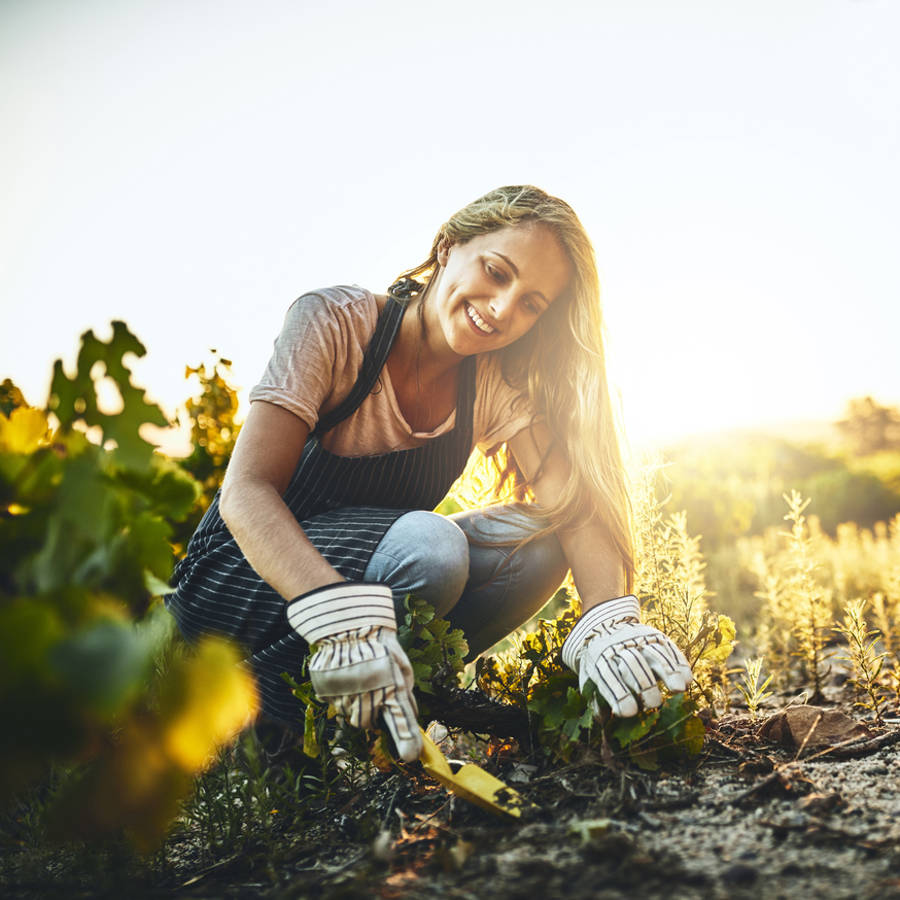 Delantal y guantes de jardinería, los 'must-have' para disfrutar en el huerto