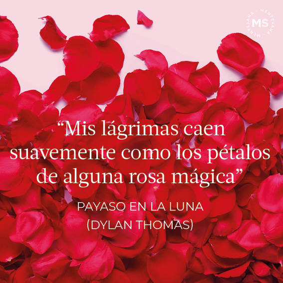 Payaso en la luna (Poema de Dylan Thomas)