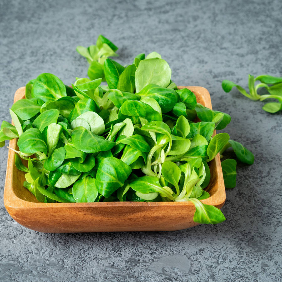 Todo lo que puedes cocinar con canónigos y no son ensaladas