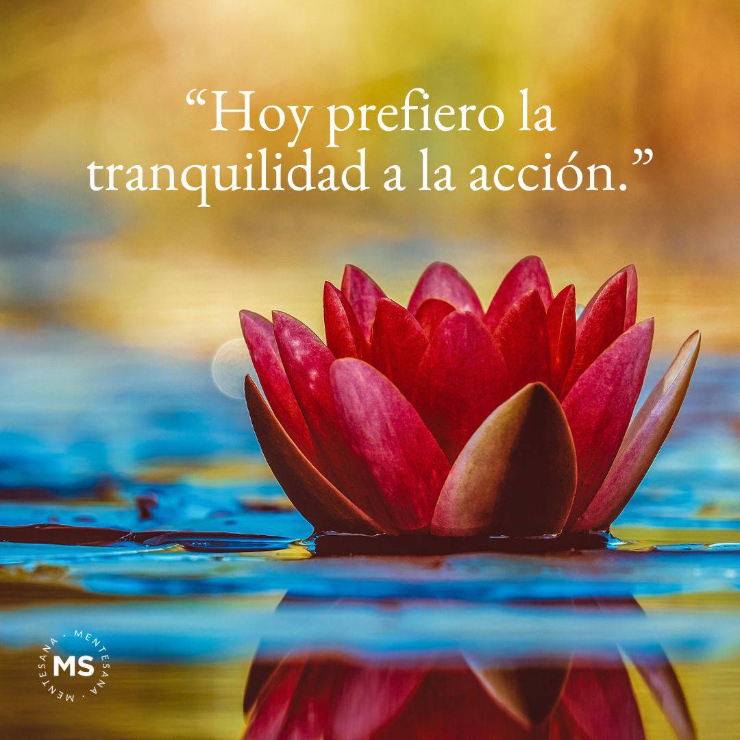 17. Hoy prefiero la tranquilidad a la acción.