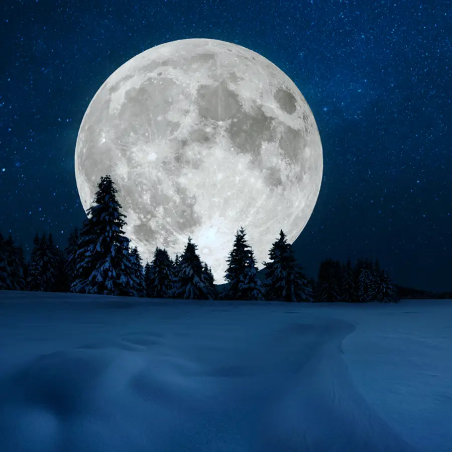 Calendario lunar de diciembre 2024: fases lunares, siembra y corte de pelo